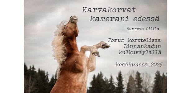 Karvakorvat kamerani edessä